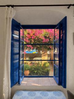 Veneto's Garden - 9