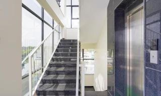 Silver leaf Grand - 5