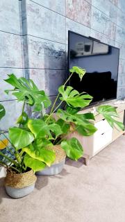 Stylish 2 bedroom Apartment - 7