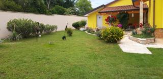 Apartman Boro - 8