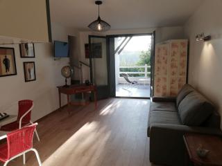 Studio vue sur Seine avec terrasse - 2