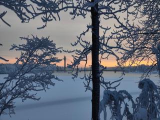 Arctic Aurora Villa with a Private Sledding Hill - 6 Bedrooms, Private Sauna and Northern Lights in the Backyard, in the Hometown of Santa Claus, Rovaniemi - 2