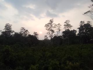 Tharu villa - 5