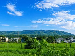 Airport Luxury Nature Homestay- Near Jolly Grant Airport Dehradun - 5