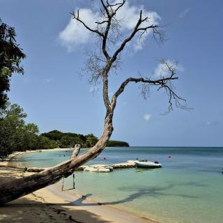 Studio Papaye - confort et calme près des plages - 0