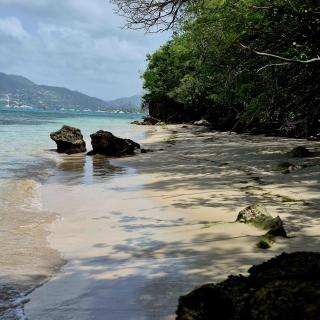 Studio Papaye - confort et calme près des plages - 3