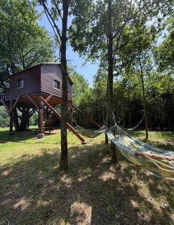 La cabane du Grand Puisard - 2