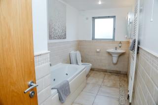 One at Causeway Street Penthouses - 7