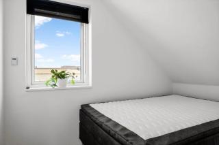 1373-Thisted-Hawblink-2-C - 2