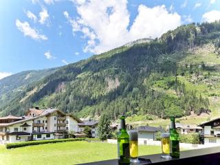 Haus Viktoria - Mayrhofen - 8