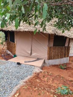 Eco tent lodge - 5