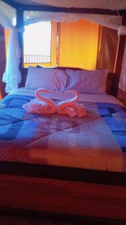 Eco tent lodge - 3