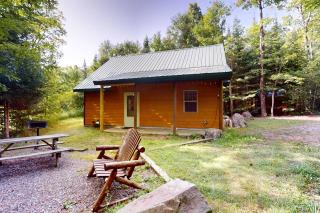 Balsam Ridge Cabin 1- Bear - 1