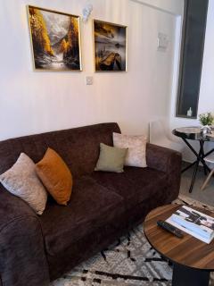 The CozyCube 2 Executive Studio, Thindigua Kiambu Rd - 3