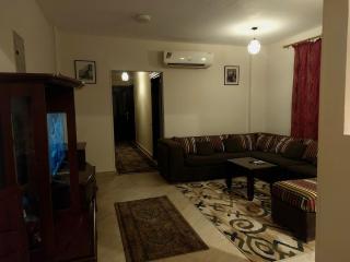 Entire Cozy Apartment in Heliopolis Near Metro - 9