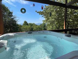 Smoky Mountain Views Cabins - 9