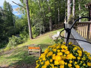 Smoky Mountain Views Cabins - 2