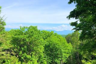 Smoky Mountain Views Cabins - 1