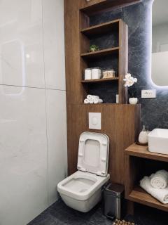 Butterfly Central Apartment Galați - 5