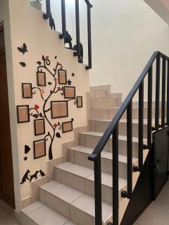 House with Natural Touches - 5