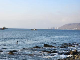 HOM I Frente al Mall y al Mar I Equipado y Parking PNM 1113 - Antofagasta - 7