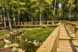 Lakeview Oasis at The Retreat at Water's Edge - 5