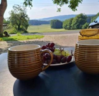 Neu renoviertes Studio mit Traumaussicht & Natur pur - 1