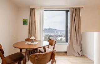 Spacious City-View Home in Tbilisi Terrace & BBQ - Tiflis - 6