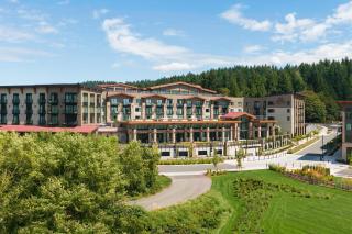 The SOMM Hotel & Spa, Autograph Collection - 4