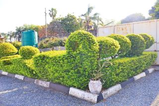 Kaste Guest House - 3