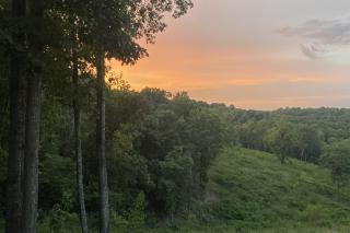 Secluded Ozark Hideaway: 13 Mi to Table Rock Lake - 9