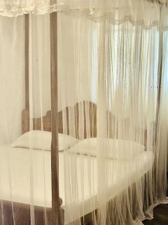 Ivy Cottage- Midigama - 7