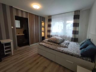 1 Zimmer Apartment mit eigenem Bad & Toilette - 3