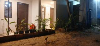 Coral sea view - 8