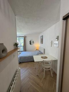 Studio au cœur de Luchon avec parking, télécabine à 600m - 0