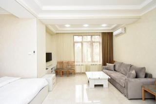 LUXURY PREMIUM Large Studio Apartment By Northern Avenue and Republic Sqaure - SUPERB Top Location! - 5