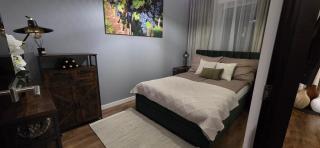 Apartament Pod Winnym Gronem z garażem - 9
