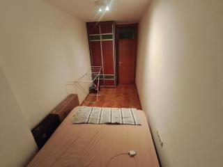 Beograd in Stay - 2