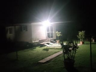Monella - 9