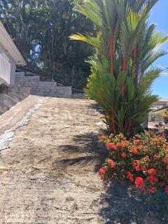 Calme et verdure pour ce logement spacieux - 7