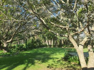 Wild Aloe Homestead - 6