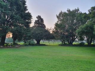 Wild Aloe Homestead - 2