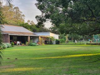 Wild Aloe Homestead - 5