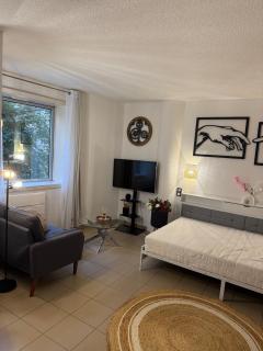 Large cozy studio - Annemasse - Close to Geneva - 2