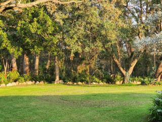 Wild Aloe Homestead - 8