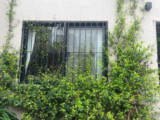 La Esquina de Carlos - 7