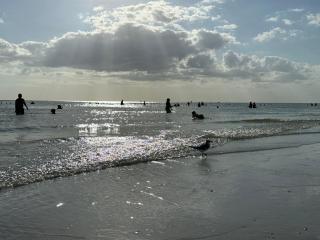 Sarasota Sea Breeze House - 4