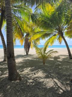 Itaeta'e Tikehau - 1