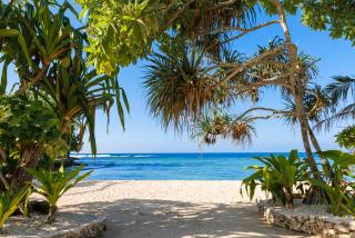 The Beach VANUATU - 1