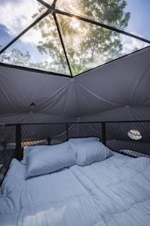 ️ Luxe Geodesic Dome Hot Tub & Starlink 5 Min to Hatfield-McCoy - 7